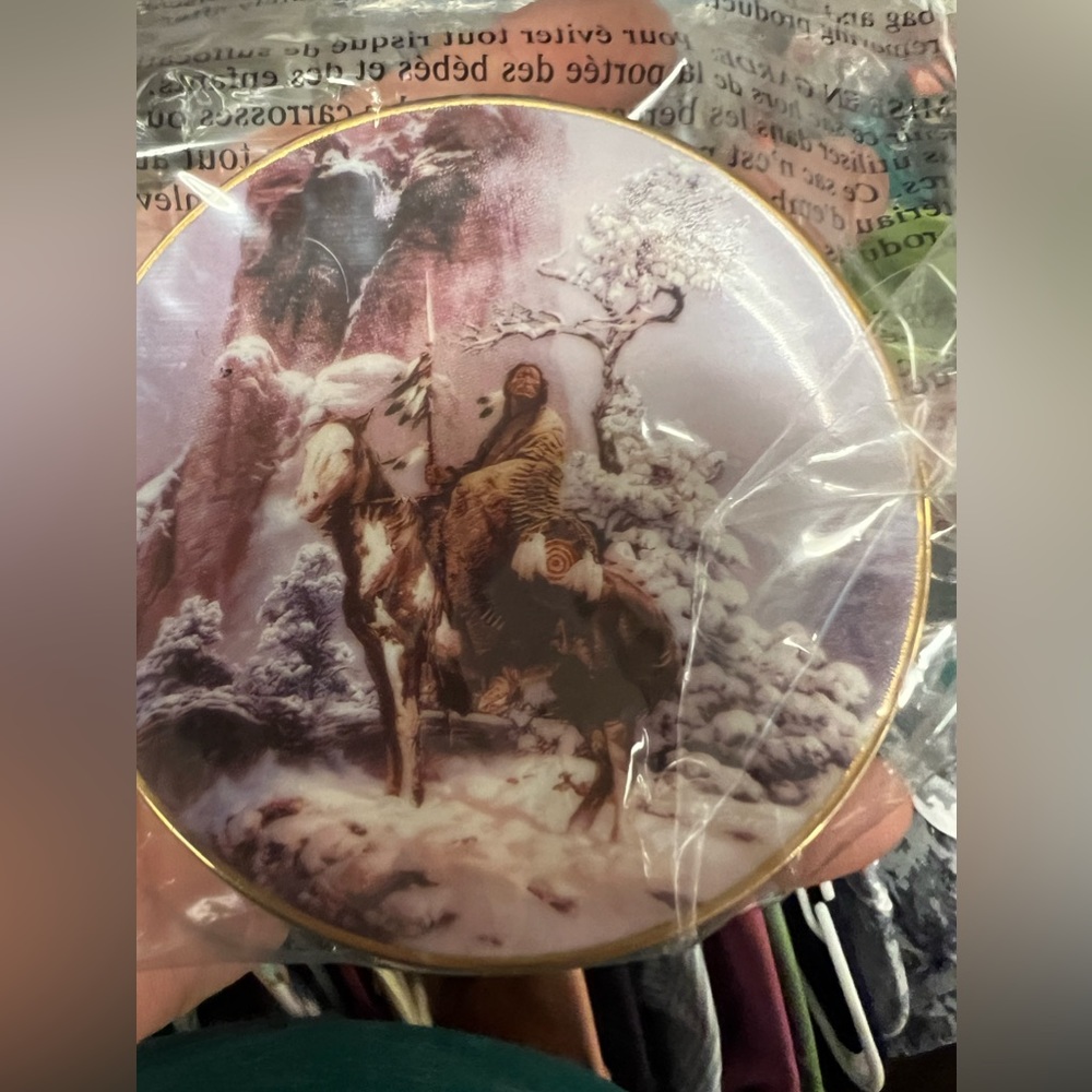 Native American collectors plate 3